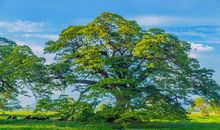 共享回首好风景