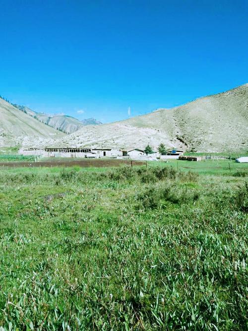 我想念家乡的雨