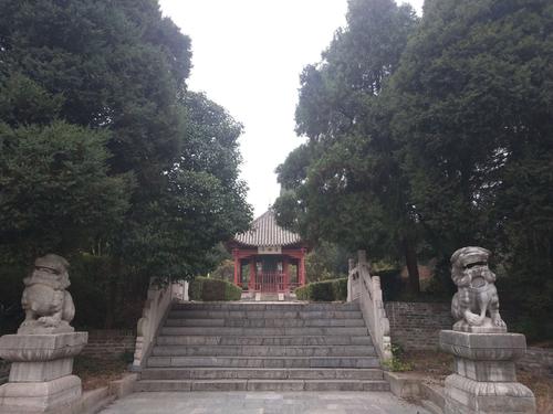 我陪着诸葛亮南巡