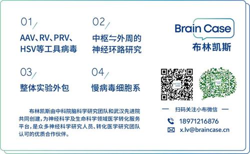 我的特技
