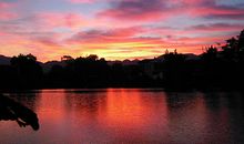 春日的美景让我沉醉