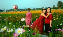 时光荏苒思念甚加