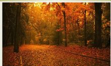 第一场秋天的雨