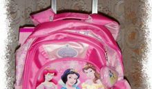 拉杆书包，我的最爱