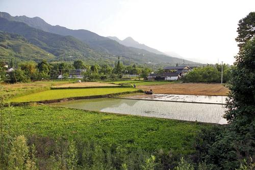 在山村里的早晨