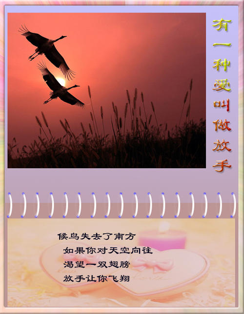 有一种爱叫放开