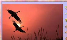 有一种爱，叫放手