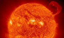 我在网中看太阳