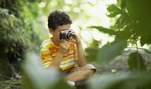 有趣的大自然现象