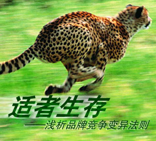 谈论生活
