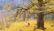 那一刻，我倍感幸福