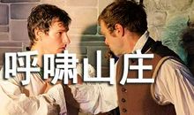 我是一只狐狸狗读后感