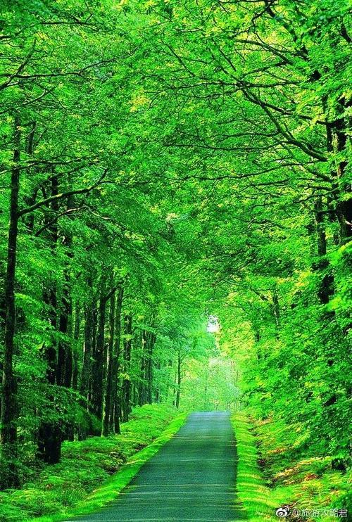 曲折的人生道路