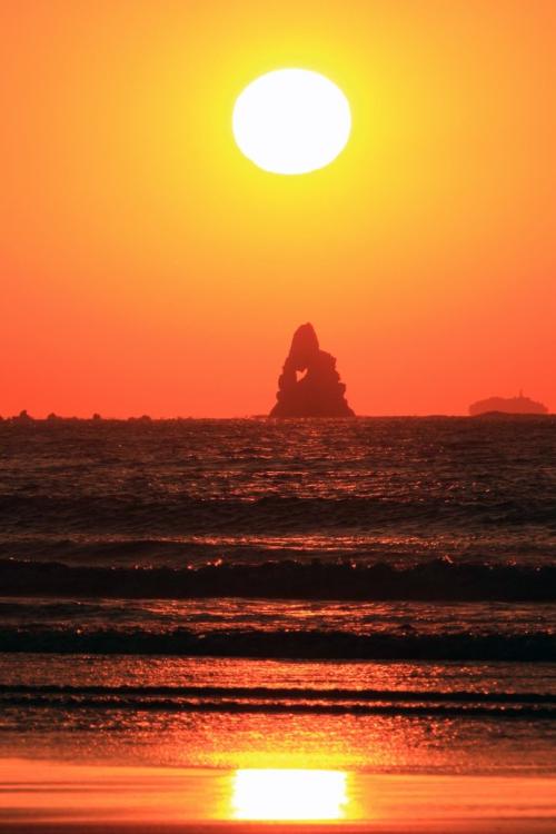 老人和日出