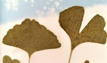 与你相处的日子