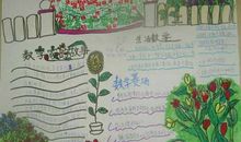 夏天的太阳作文300字