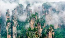 生活也需要穿过迷雾的勇气