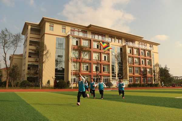 新学校，新环境