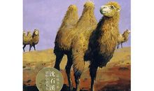 骆驼王子读后感
