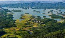 有它的地方叫故乡