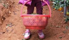 我和爸爸的约会