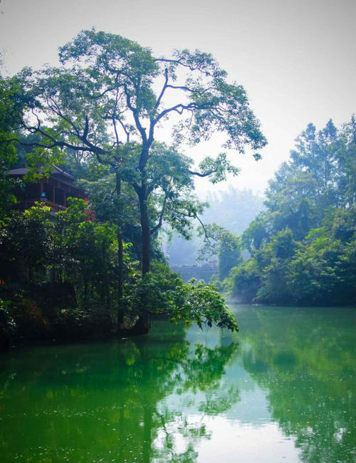 打小七洞