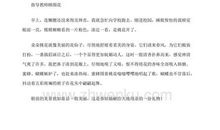 迷人的大海作文二年级