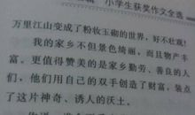 我的心爱之物作文