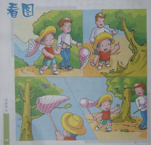 小猴子比看图片和写作美丽