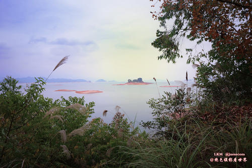 在河源旅行