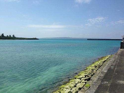 我沉浸在自然风光中