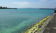 我沉醉在自然风景里