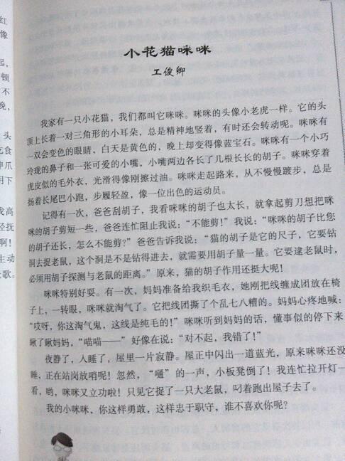 我的小乌龟作文400字