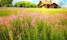 梦想使生活更精彩