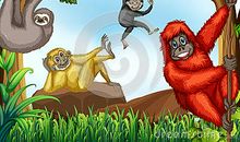 不会爬树的猴子