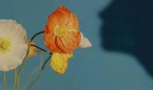 那儿，有最美的回忆