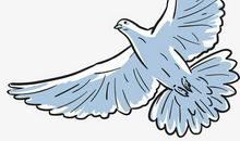 空中飞舞的心情