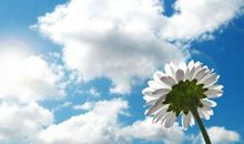 共享一片春暖花开