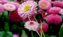 深藏心底的回忆