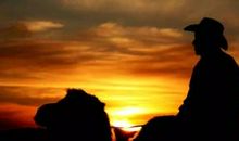 奋斗，为人生镀上一层亮色