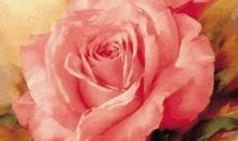 予人玫瑰，手留余香