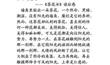 《茶花女》读后感