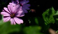 让好奇之花绽放