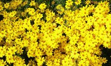 人生有多少美好时刻