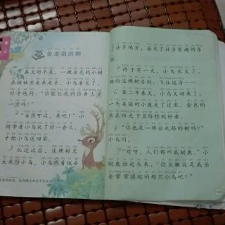 行走的树继续