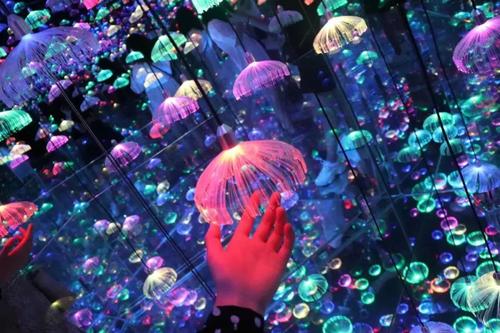 闭上眼睛，我想到星空