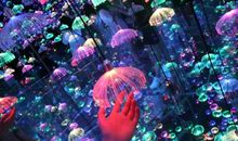 闭上眼，我想起了那片星空