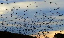 让我失望的一件事