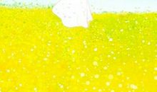 心若向阳无谓悲伤