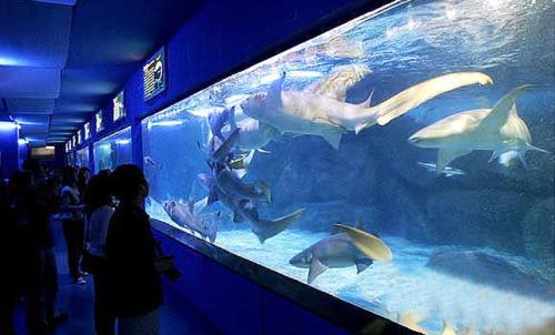 蓬莱极地水族馆一日游